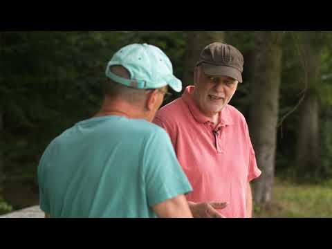 beeMOOC- Vorstellung Varroamilbe