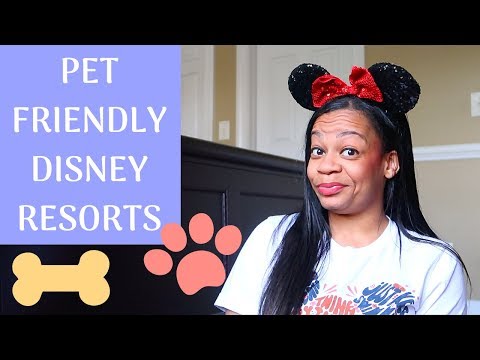 YouTube video about: Does country inn and suites allow pets?