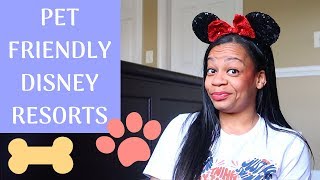 Disney Resorts That Allow Pets