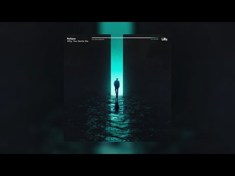 Rolipso - Why You Gotta Go