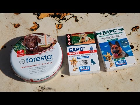 Ошейник от Блох и Клещей Форесто - Bayer Foresto