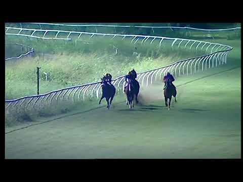 Napoli Galoppo 14/08/2021 - 4ª corsa