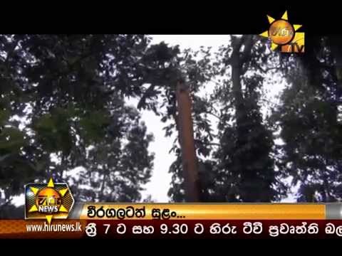 Hiru News 7.00 PM October 16, 2014