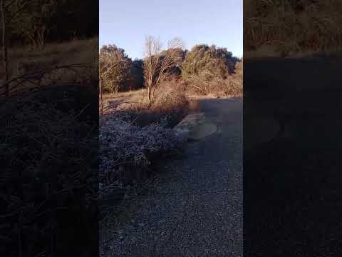 Laying the foundation part 2