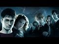 Author J K Rowling Regrets Marrying Ron And Hermione In HARRY POTTER AMC Movie News
