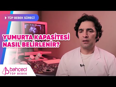 Yumurta kapasitesi nasıl belirlenir?