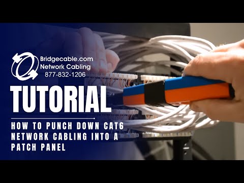 How to Punch Down CAT6 Network Cabling into a Patch Panel | BridgeCable.com