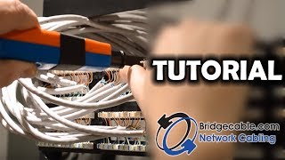 How to Punch Down CAT6 Network Cabling into a Patch Panel | BridgeCable.com