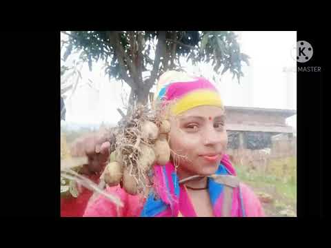 KUI TA BAAT HOLI !! NARENDRA SINGH NEGI !! GARHWALI SONG