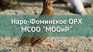 Наро фоминское охотничье рыболовное хозяйство филиал мсоо мооир