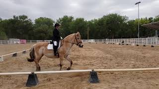 Ginny Wegener : le dressage à 95 ans