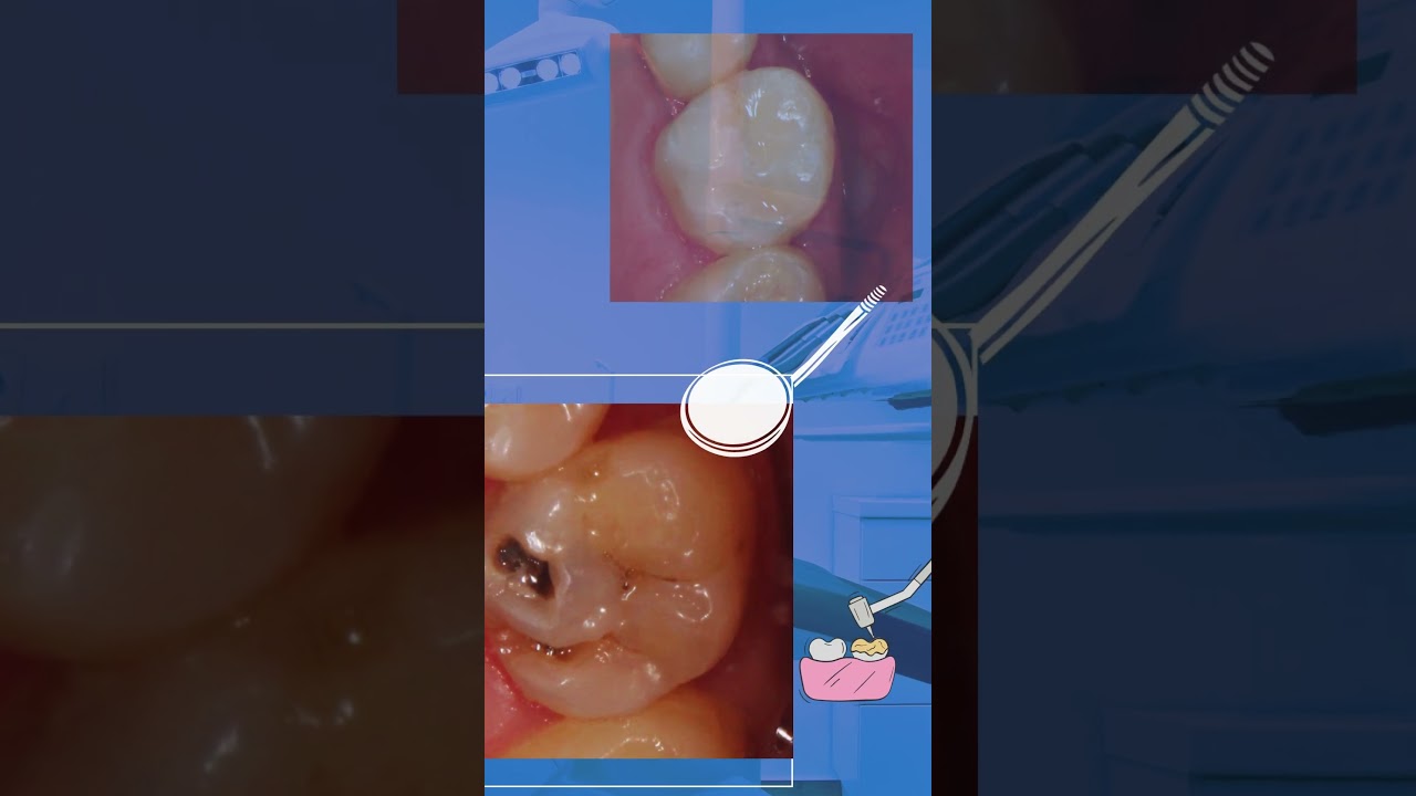 Andrea Hernández Garcia-15