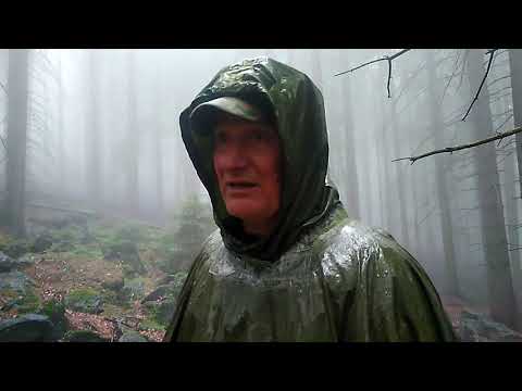 Ślęza cmentarzysko Dariusz Kwiecień  08  2020