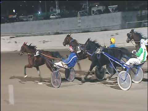 Trotto 22/11/2019 - 7ª corsa