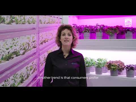 Improve presentation and quality from farm to fork with Philips LED