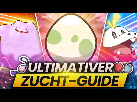 DER ULTIMATIVE ZUCHT GUIDE - So bekommt ihr in 10 Minuten das PERFEKTE Pokemon in Karmesin & Purpur!