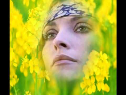 Sharon Tate Tribute - Fields Of Gold