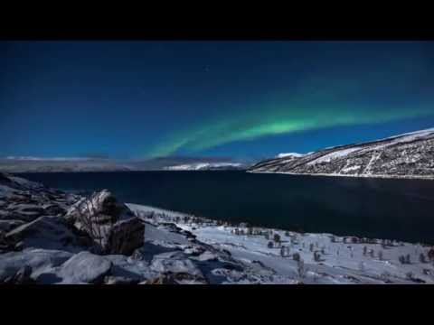 Arctic Moon feat. Noire Lee - Revolution