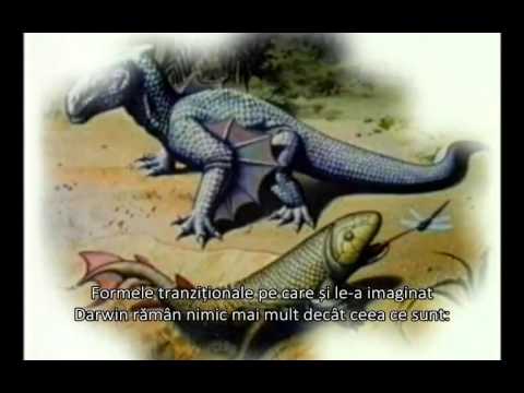 Destramarea Darwinismului (Teoria Evolutiei) - 4