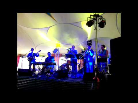 Compass by Sun Stereo @ Summer Camp Music Festival 2013