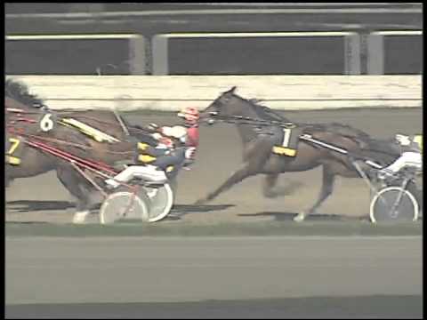 Trotto 27/01/2015 - 8° Corsa