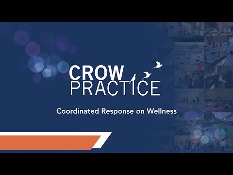 CROW Practice - About us