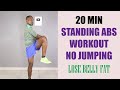 20 Minute Standing Abs Workout No Jumping/ Lose Belly Fat At Home