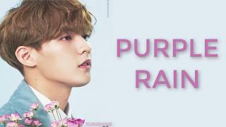 LEE MINHYUK &quot;PURPLE RAIN&quot; INDOSUB