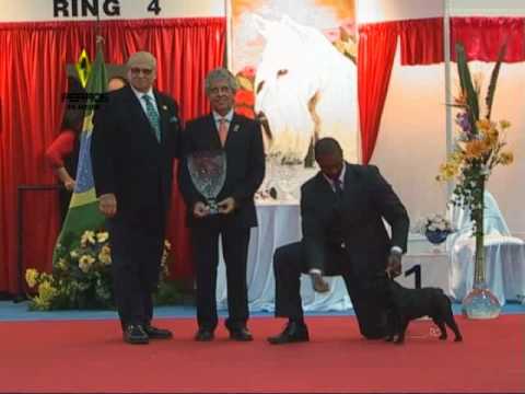 FCA Copa Confraternidad Julio 2010 - Final Cachorros