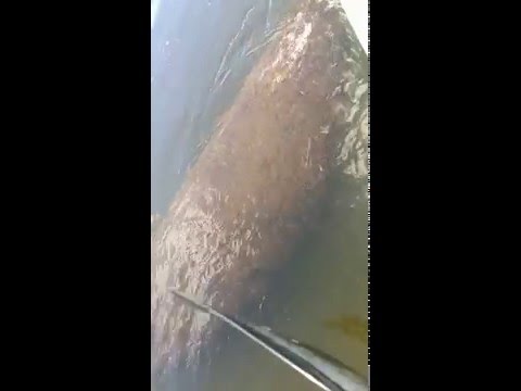 04.19.2016 Kayak Trip