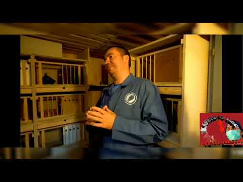 #ALIN KARSCU 🎉💯🕊️🏆1ST INTERNATIONAL BARCELONA 2020 WINNER