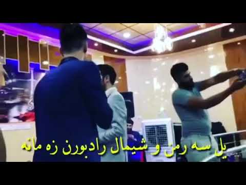 Peshkaft duski.   O shimal harki