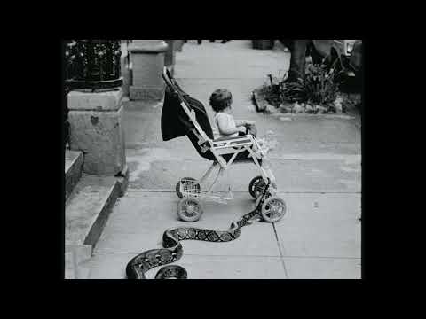 [FREE] Rounhaa x So La Lune Typebeat - SERPENT