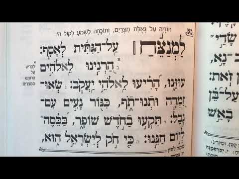 תהלים פא Tehillim Psalm 81