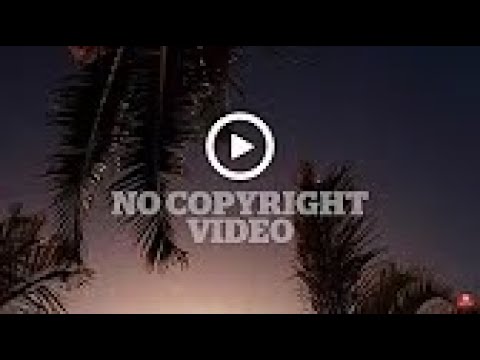 No Copyright Video   Palm Tree Sunset   Slow Motion