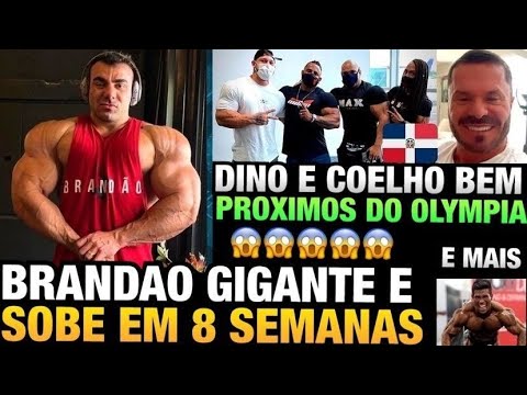 BRANDÃO GIGANTE - RAMON E COELHO MUITO PROXIMOS DO OLYMPIA E CARIANI EXPLICA A VIAGEM DELES