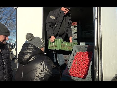 Bronisze: kończą się warzywa spod osłon, rosną ceny