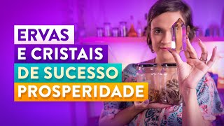 Ervas e Cristais para Atrair Prosperidade e Sucesso