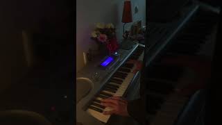 Stan Rams Jazz Blues on Casio WK 3300 Amsterdam Central