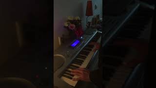 Stan Rams Jazz Blues  on Casio WK 3300  Amsterdam Central