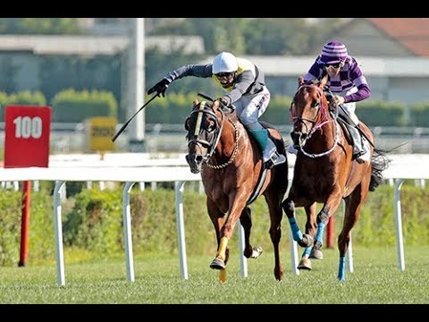 Büyük Taarruz Koşusu (Grup - 2) 27/08/2017