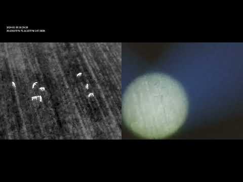 Mavic 3 thermal with JZ T30 Spotlight test night flight