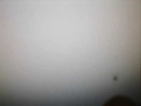 El bicho askeroso d mi pantaya :S