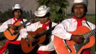 En La Cruz Trio Los Trigales Video