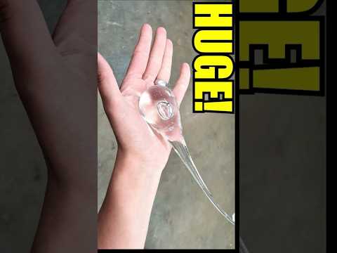 Giant Prince Rupert’s Drop!