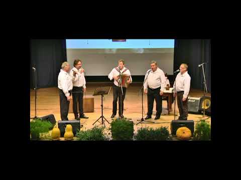 Tine Lesjak z Oplotničani - Nevesta, le jemlji slovo