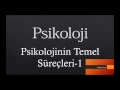 11. Sınıf  Psikoloji Dersi  Psikolojik Süreçlerle Biyolojik Yapı ve Süreçlerin İlişkisi LYS Psikoloji Psikolojinin Temel Süreçleri-1. konu anlatım videosunu izle