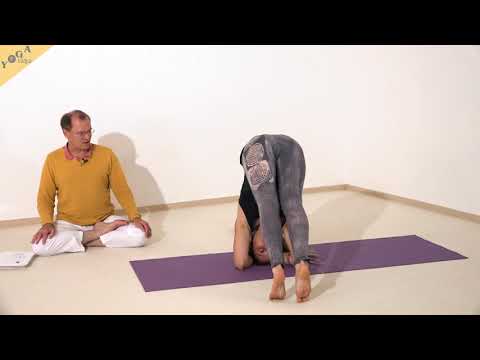 Umgekehrter Lotus im Kopfstand - Yoga Asana Lexikon