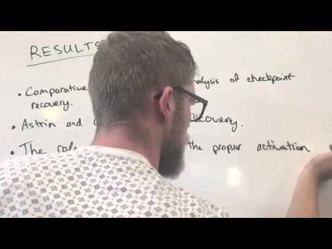 CBMS333 Paper Review