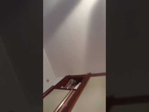 Canto la parodia di sarà perchè ti AMO-SARÀ PERCHÈ NO CAGO